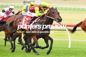 Hobart best bets & quaddie tips | February 12, 2023