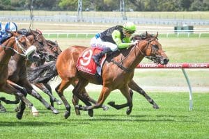 De Sonic Boom wins Blue Diamond Prelude