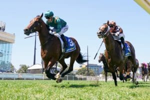 Bodyguard dominates the boys in Blue Diamond Prelude