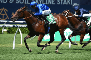 Corniche books ticket to the Golden Slipper