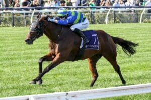 'Interesting' Makram hunting further autumn success