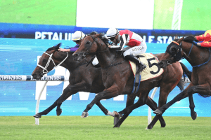 Osipenko takes out Group 2 Hobartville Stakes