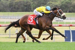 Shuffle Dancer edges out Royal Merchant in Angus Armanasco Stakes