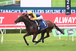 Storm Boy winning Skyline Stakes