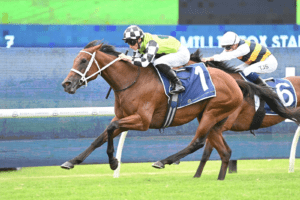 Zougotcha Millie Fox Stakes