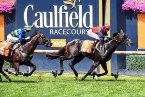 Finance Tycoon Back to Winning Ways at Caulfield