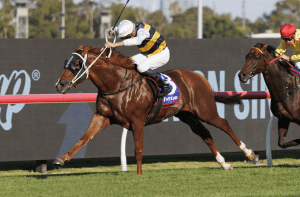 Cepheus causes upset in Ajax Stakes