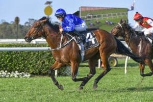 2021 Wenona Girl Quality tips & best odds | Randwick Race 6