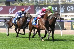 Von Hauke Wins The 2024 Shaftesbury Avenue Handicap