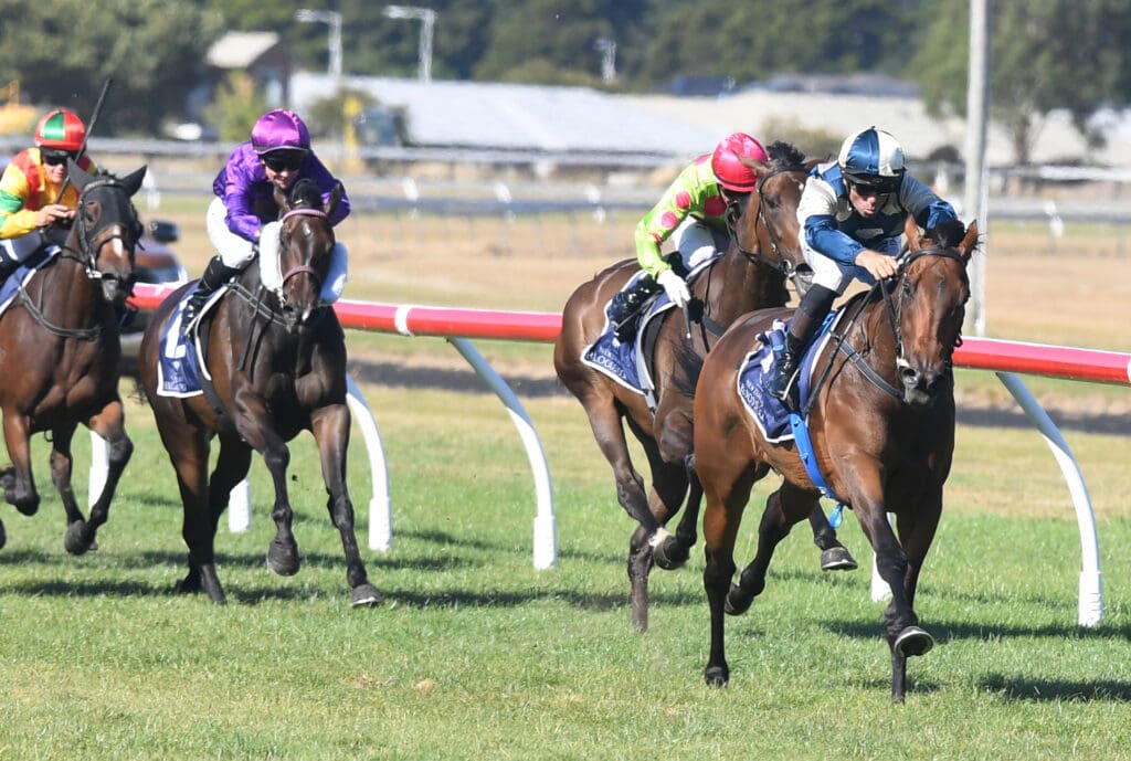 Leica Lucy Lowland Stakes