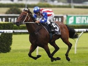 Sugar Bella steps up to black-type grade