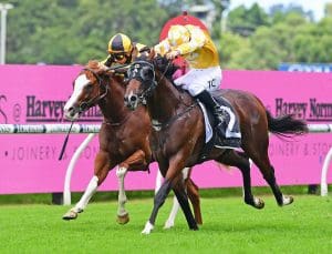 Rise Of The Masses books final spot in the Golden Slipper