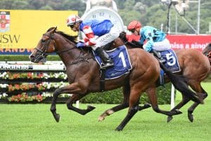 Sejardan prevails in Todman Stakes