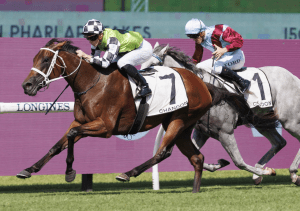 Class prevails as Zougotcha dominates rivals in Phar Lap Stakes